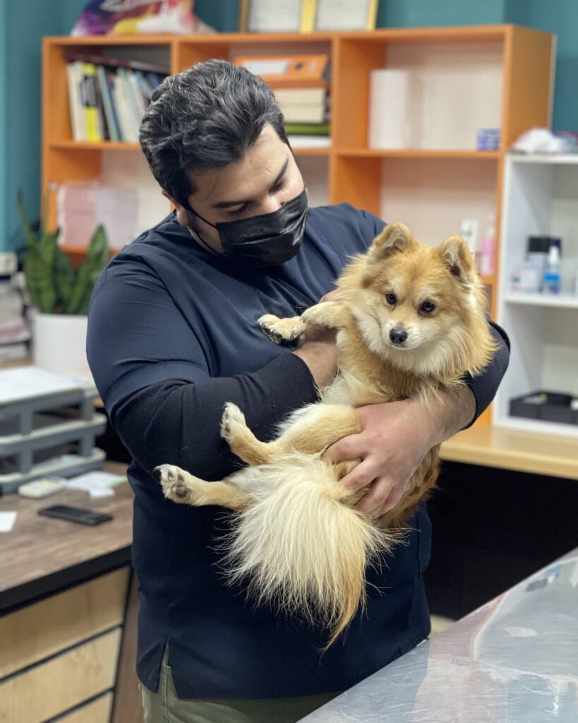 Mohammadreza Golmakany